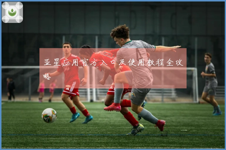 亚星应用官方入口及使用教程全攻略