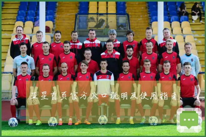亚星首页官方入口说明及使用指南